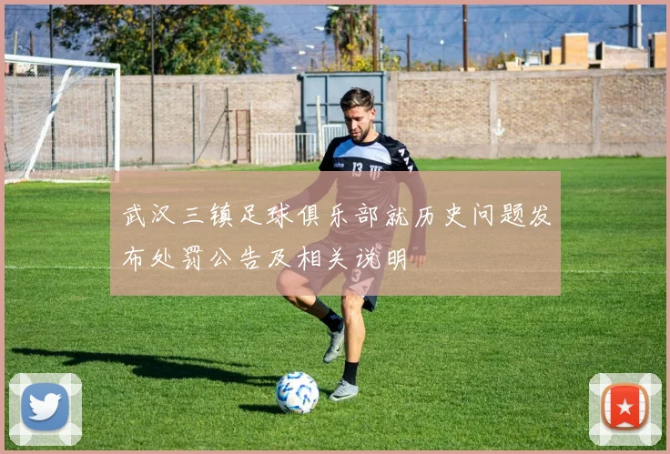 武汉三镇足球俱乐部就历史问题发布处罚公告及相关说明